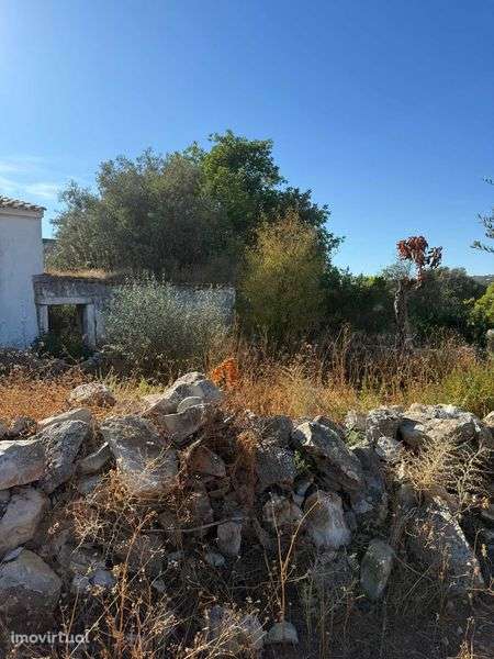 Terreno em Gorjões - Faro - Grande imagem: 3/12
