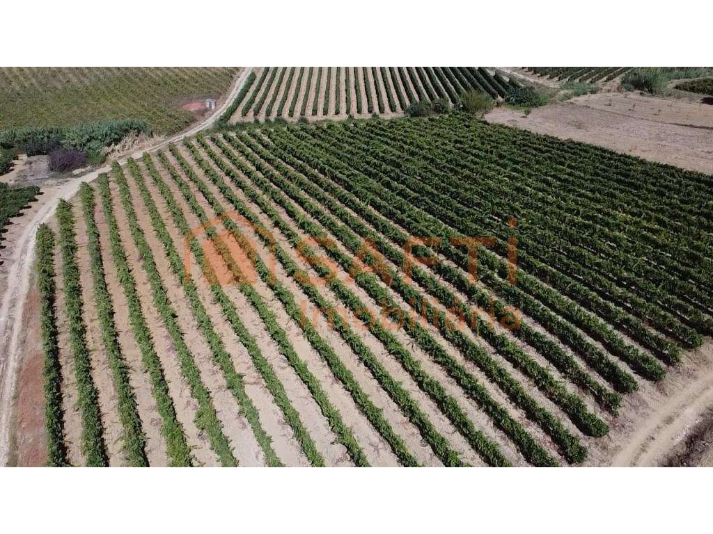 Terreno com PIP Aprovado para 6 Moradias | Turcifal, Torres Vedras - Grande imagem: 3/5