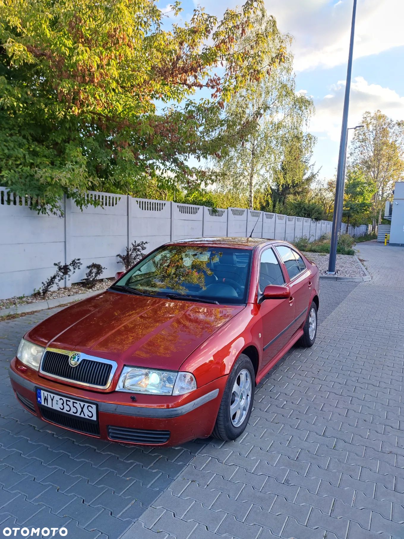 Skoda Octavia 1.9 TDI Elegance - 1