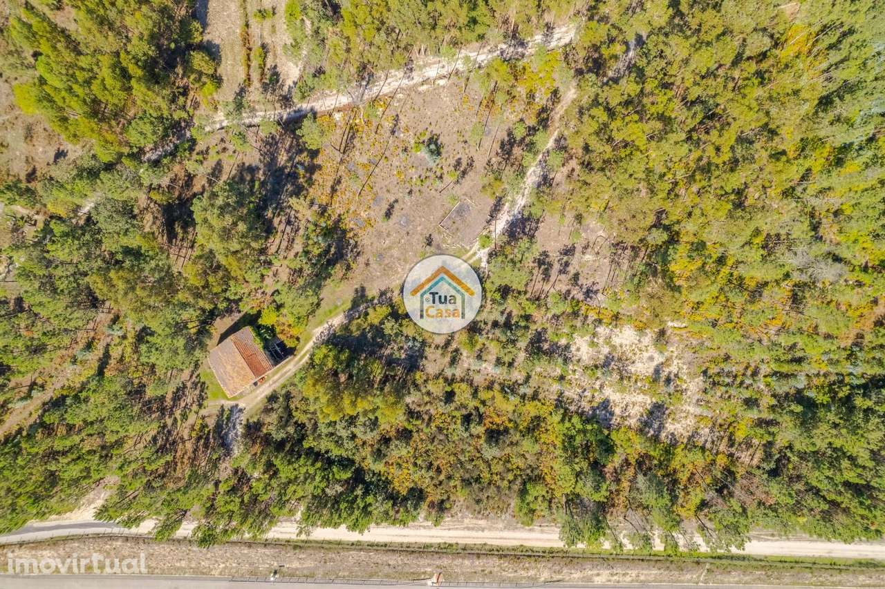 Terreno Rústico em Mangualde - Grande imagem: 2/15