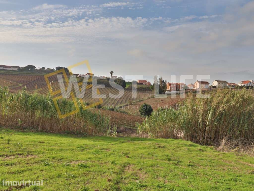 Terreno Urbano com viabilidade de construção - Vista campo - Zona m... - Grande imagem: 2/22