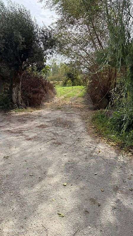 Terreno  para venda