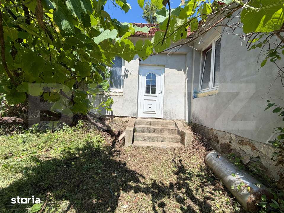 Casa cu teren generos de 2.674 mp–Langa Geoagiu Bai - Imagine principală: 2/11