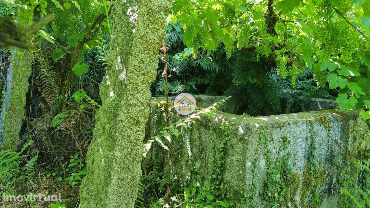 Quintinha para Restauro | Geoparque de Arouca – Moldes - Grande imagem: 5/20