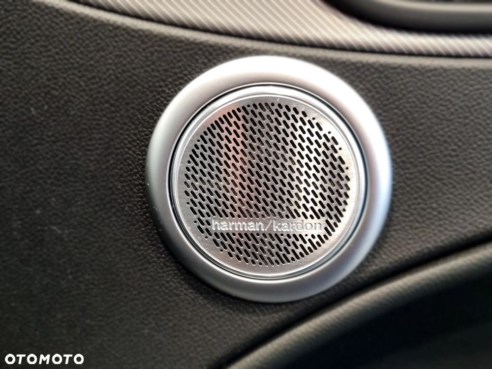 Alfa Romeo Stelvio 2.0 Turbo Veloce Q4 - 19