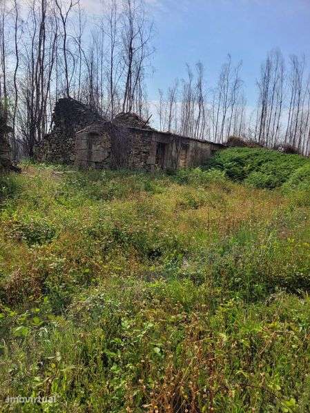 Casa para restauro com terreno - Grande imagem: 5/5