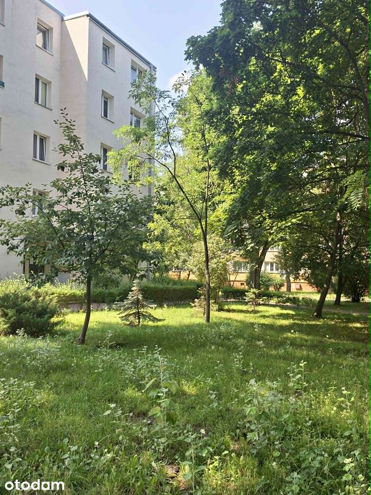 3-pokojowe mieszkanie z piwnicą w Pruszkowie.
