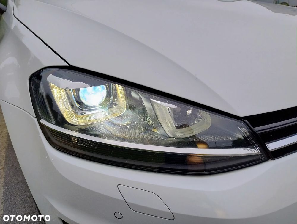 Volkswagen Golf - 29