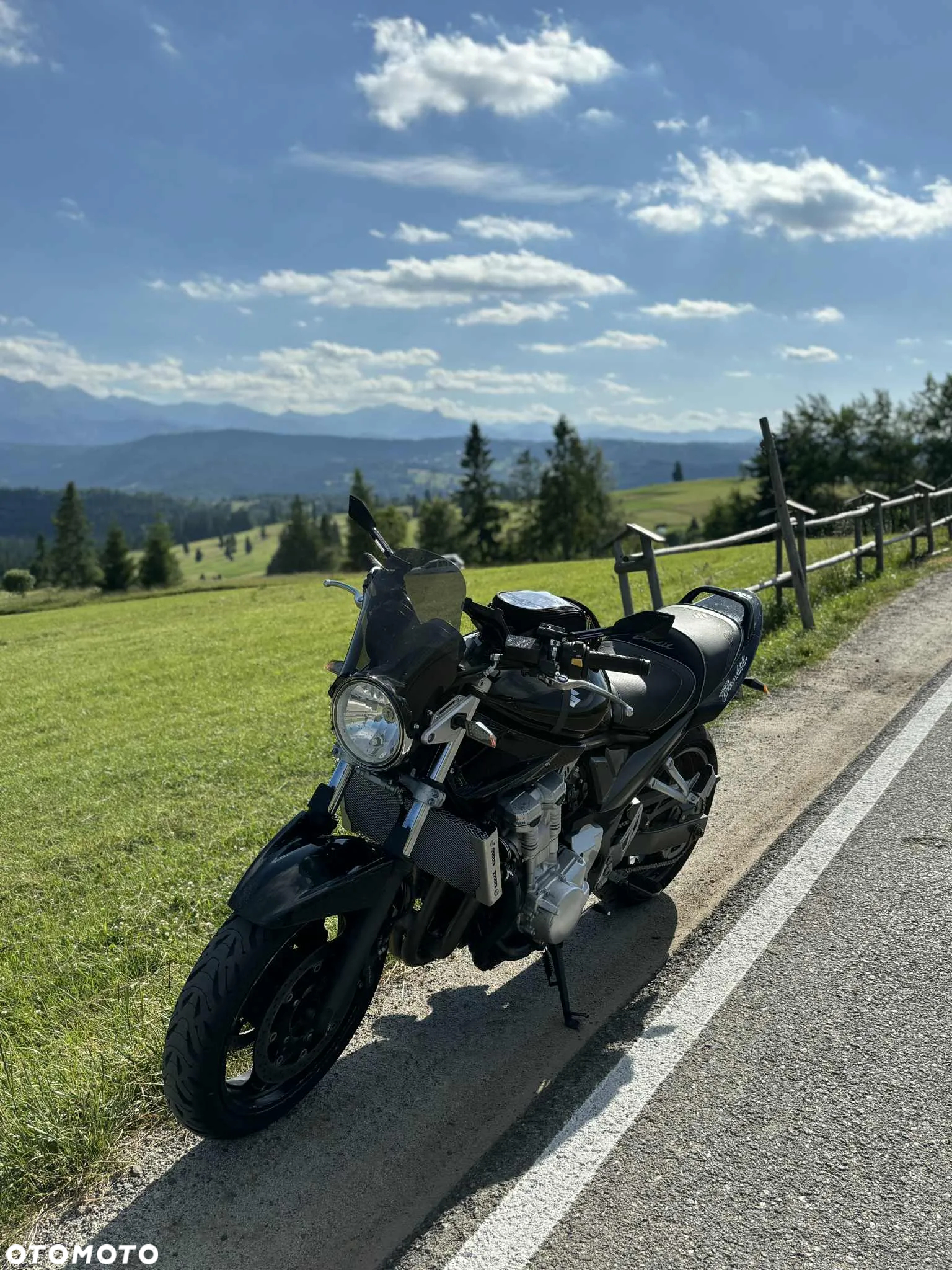 Suzuki Bandit - 2