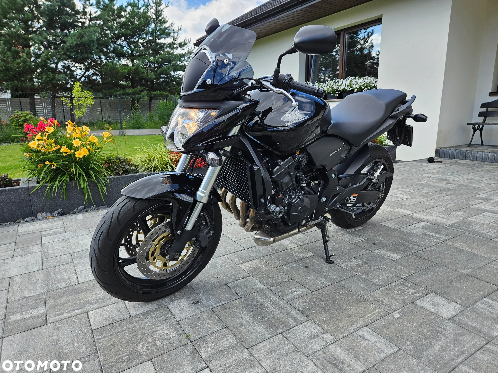 Honda Hornet - 4