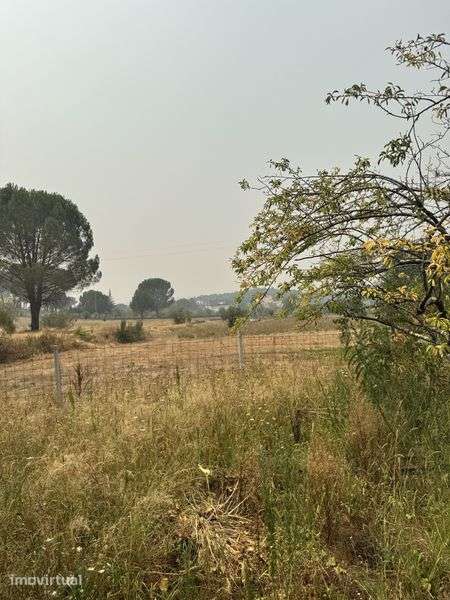 Quinta com cerca de 1 hectare - Grande imagem: 5/8