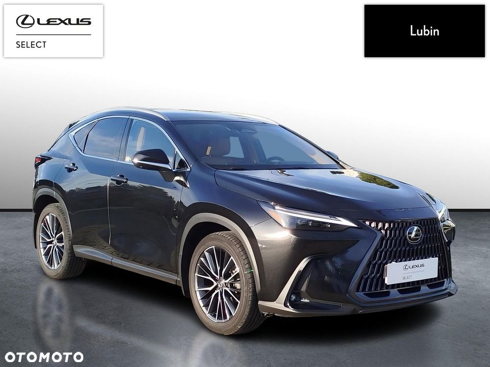 Lexus NX - 8
