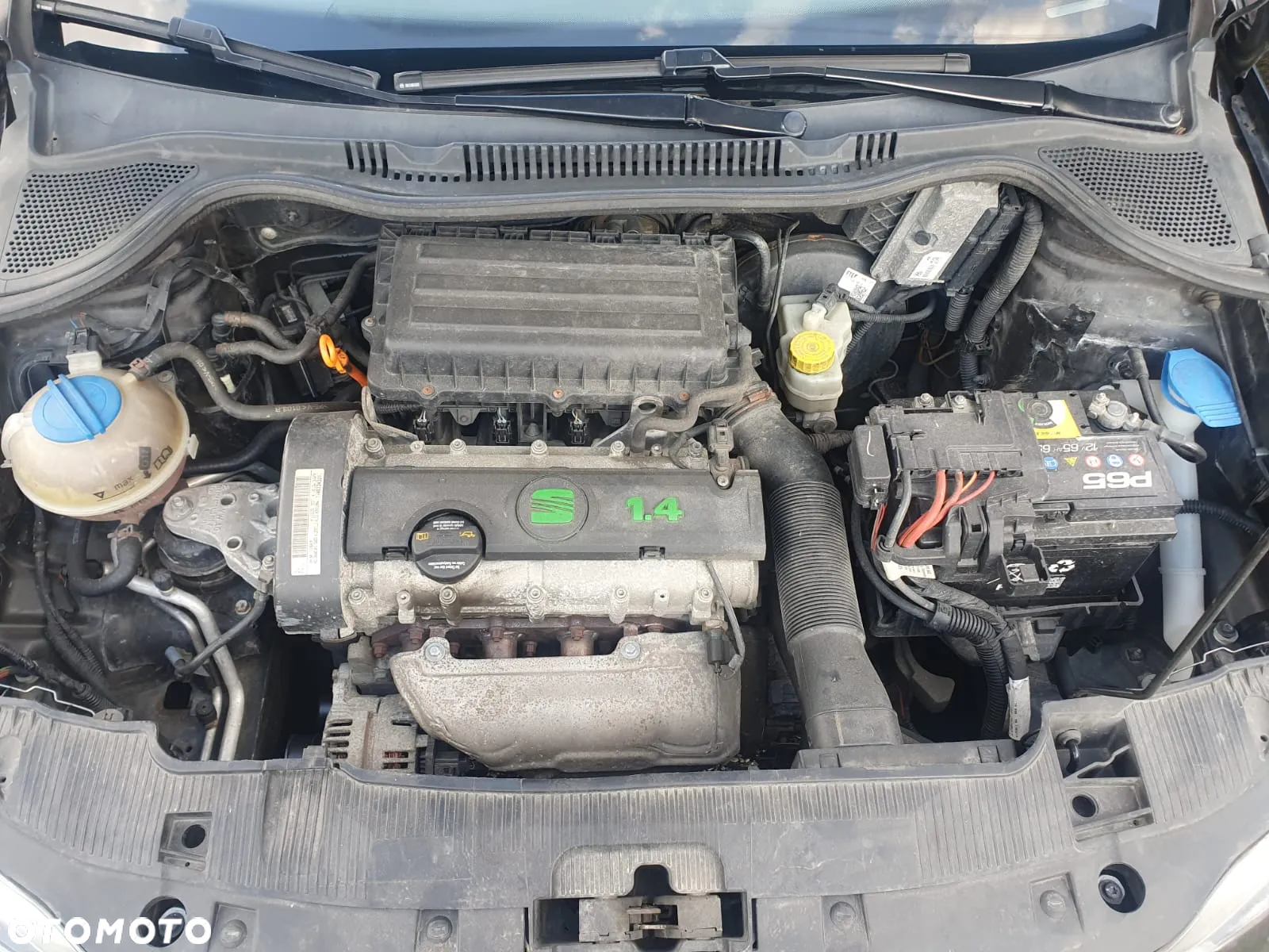 Seat Ibiza - 10
