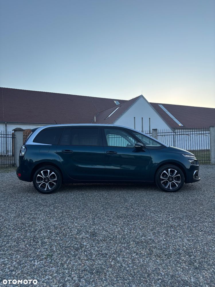 Citroën C4 SpaceTourer 1.5 BlueHDi Shine Pack S&S EAT8 - 7