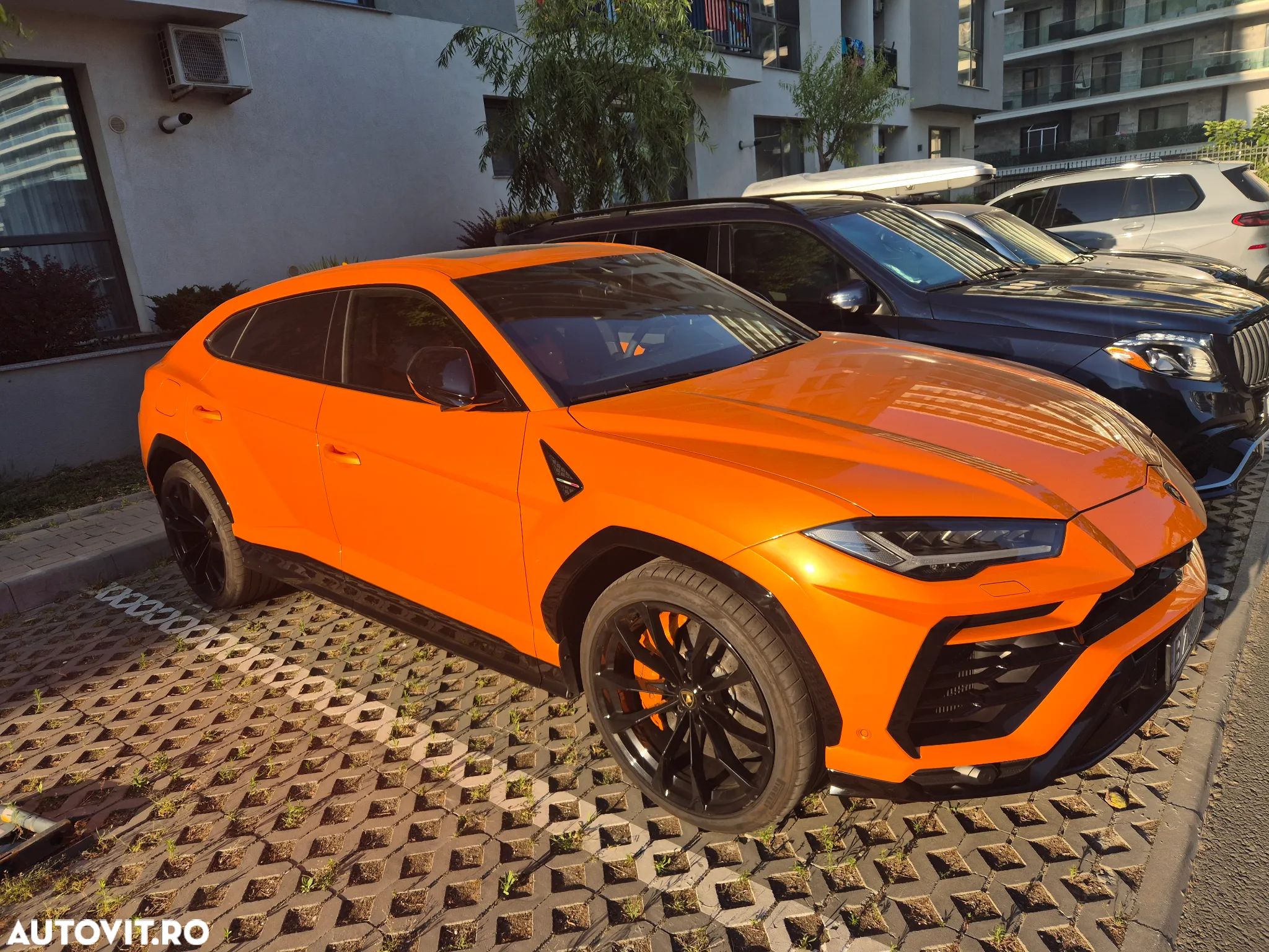 Lamborghini URUS Standard - 1