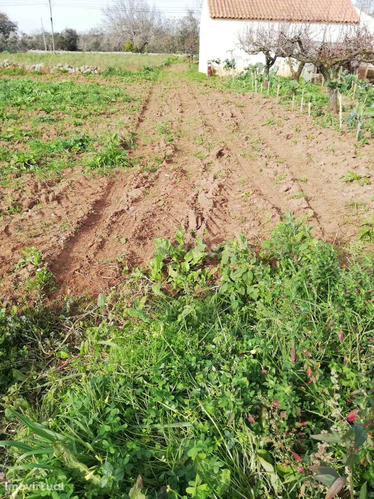 Terreno Urbano em Casais de Santa Teresa - Grande imagem: 3/3