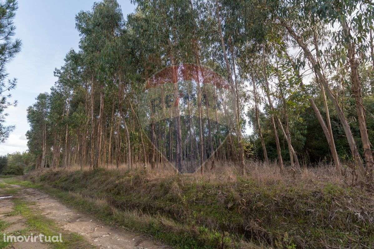 Terreno  para venda - Grande imagem: 4/13