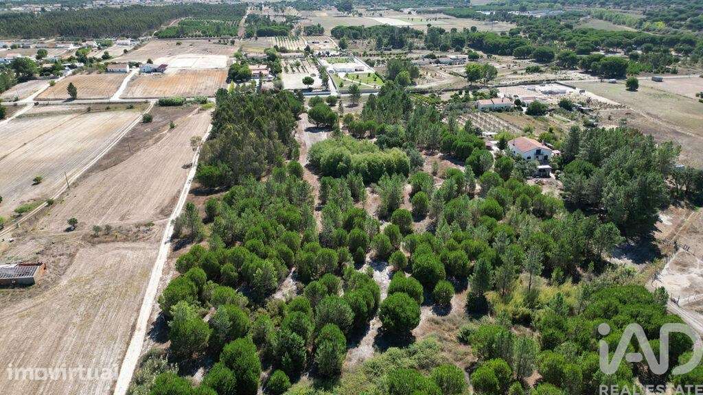 Terreno para construção em Benavente de 16390,00 m2 - Grande imagem: 2/25