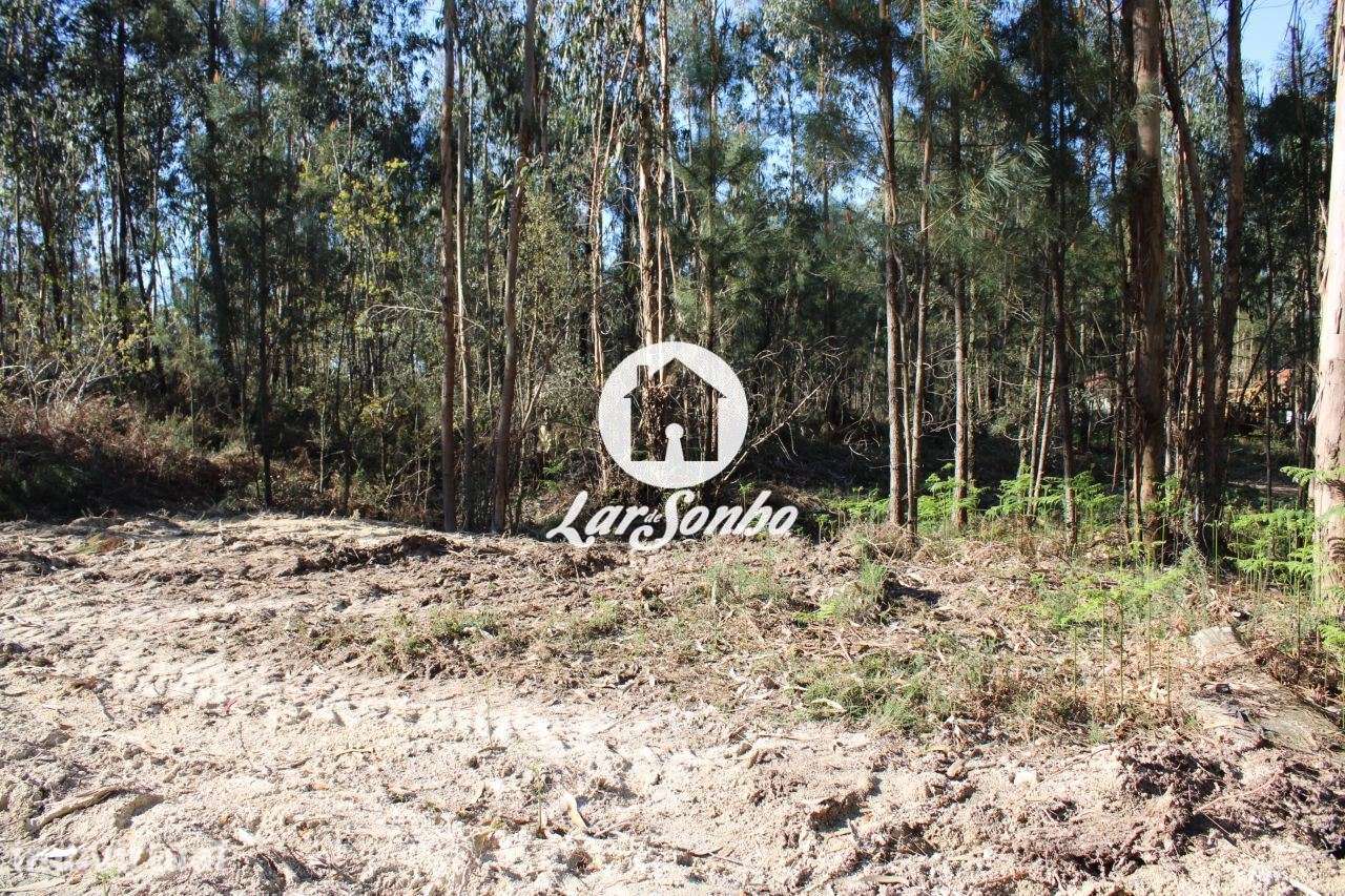 Terreno para construção - Grande imagem: 3/23