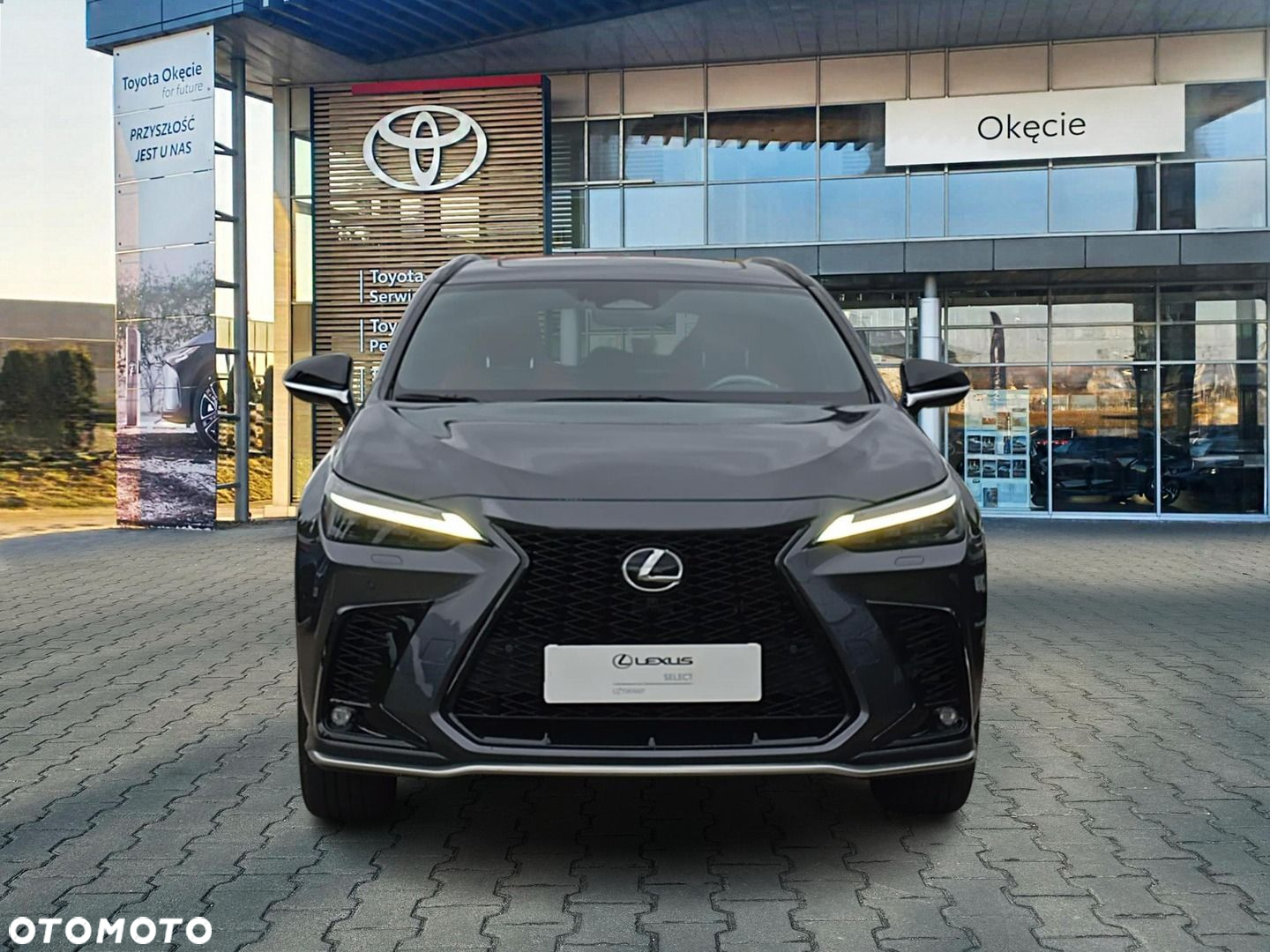 Lexus NX - 10