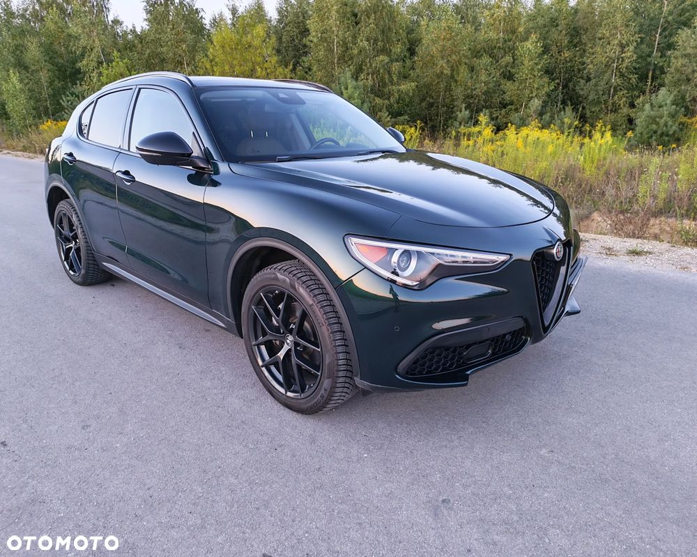 Alfa Romeo Stelvio - 15