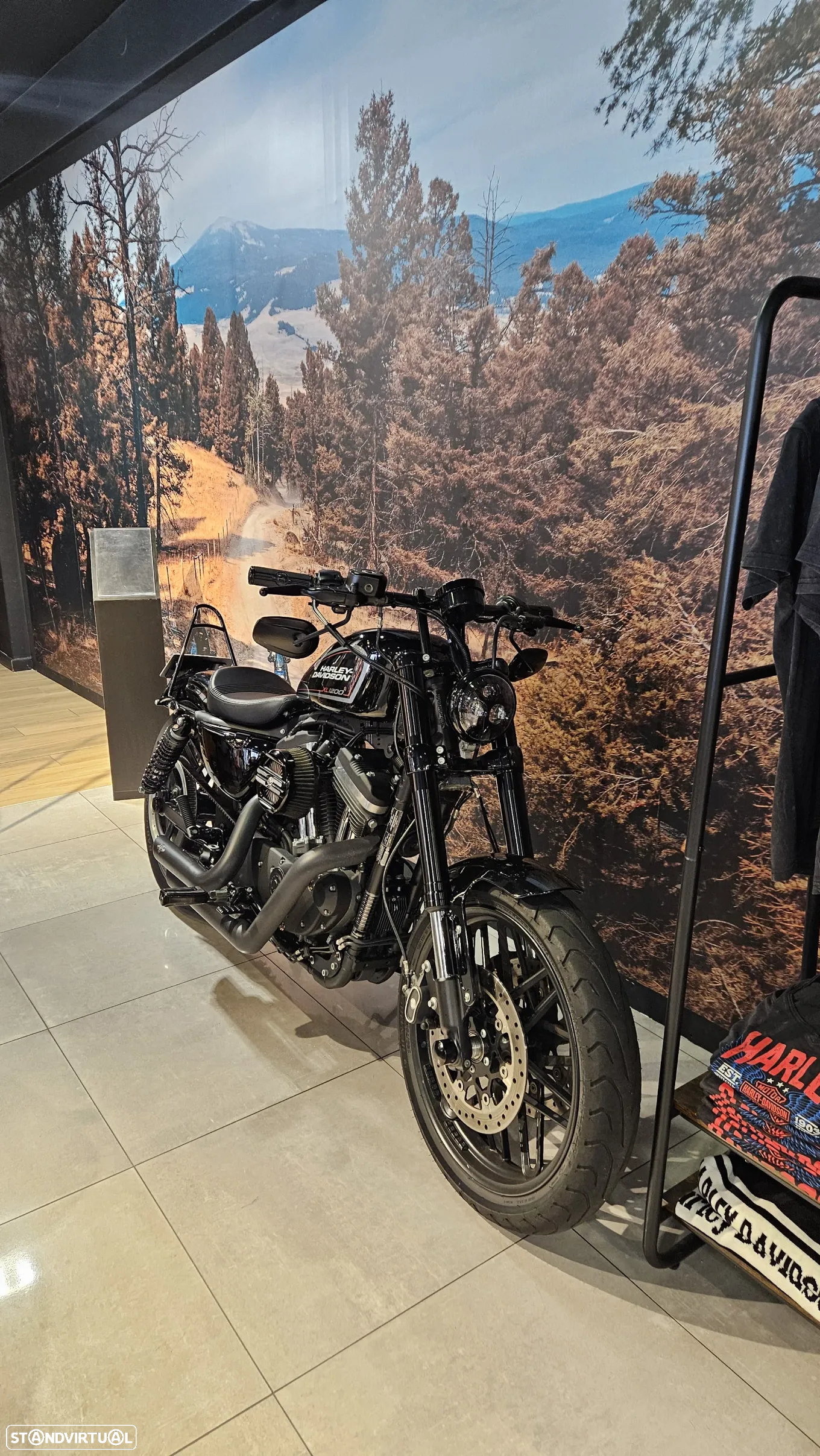 Harley-Davidson Sportster Roadster 1200 - 4