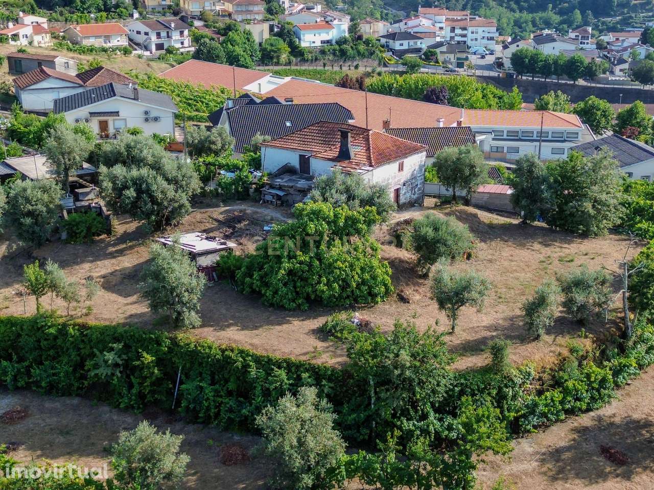 Quinta com 2 Hectares em Amarante/Porto, a 2min do Rio Tâmega e Centro - Grande imagem: 3/41