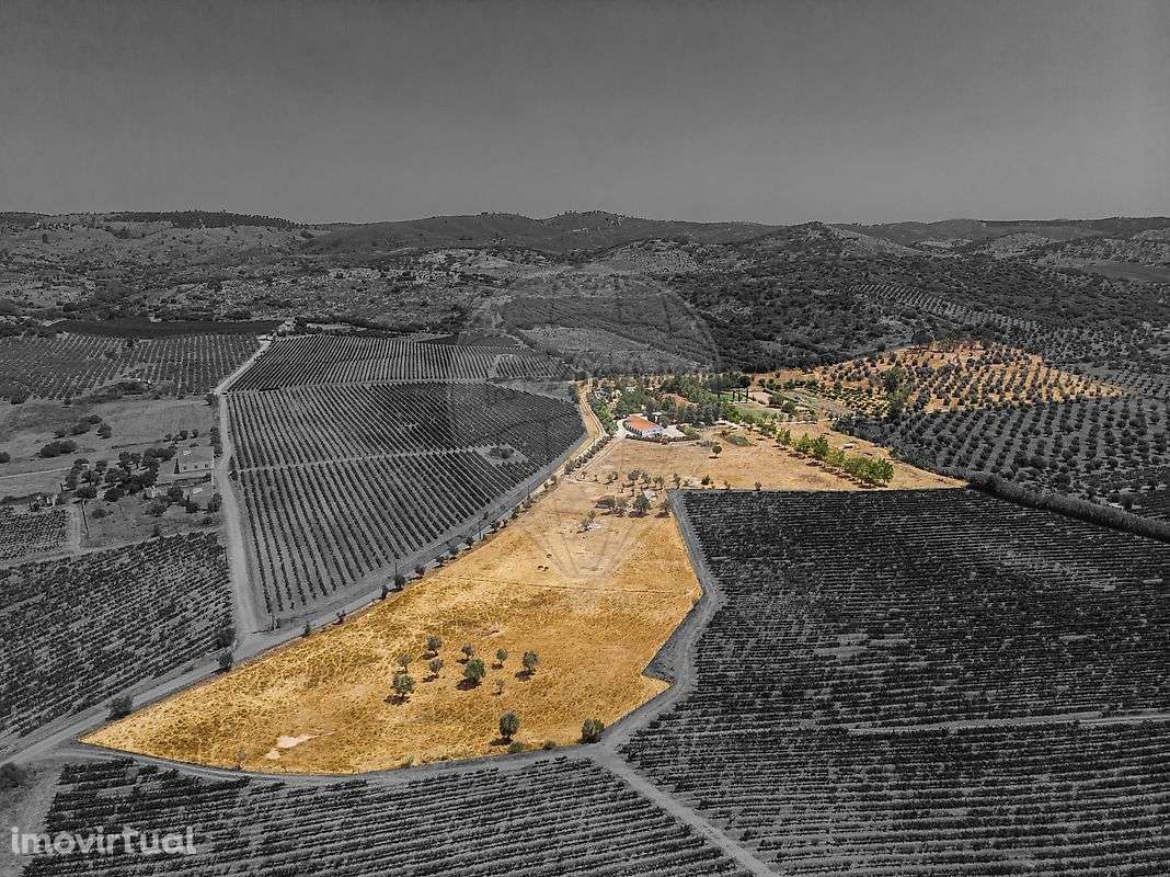 Quinta T7 para venda - Grande imagem: 3/50