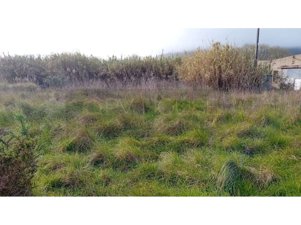 Terreno rústico com Furo de Água | Infraestruturas | Associação de ... - Grande imagem: 5/15