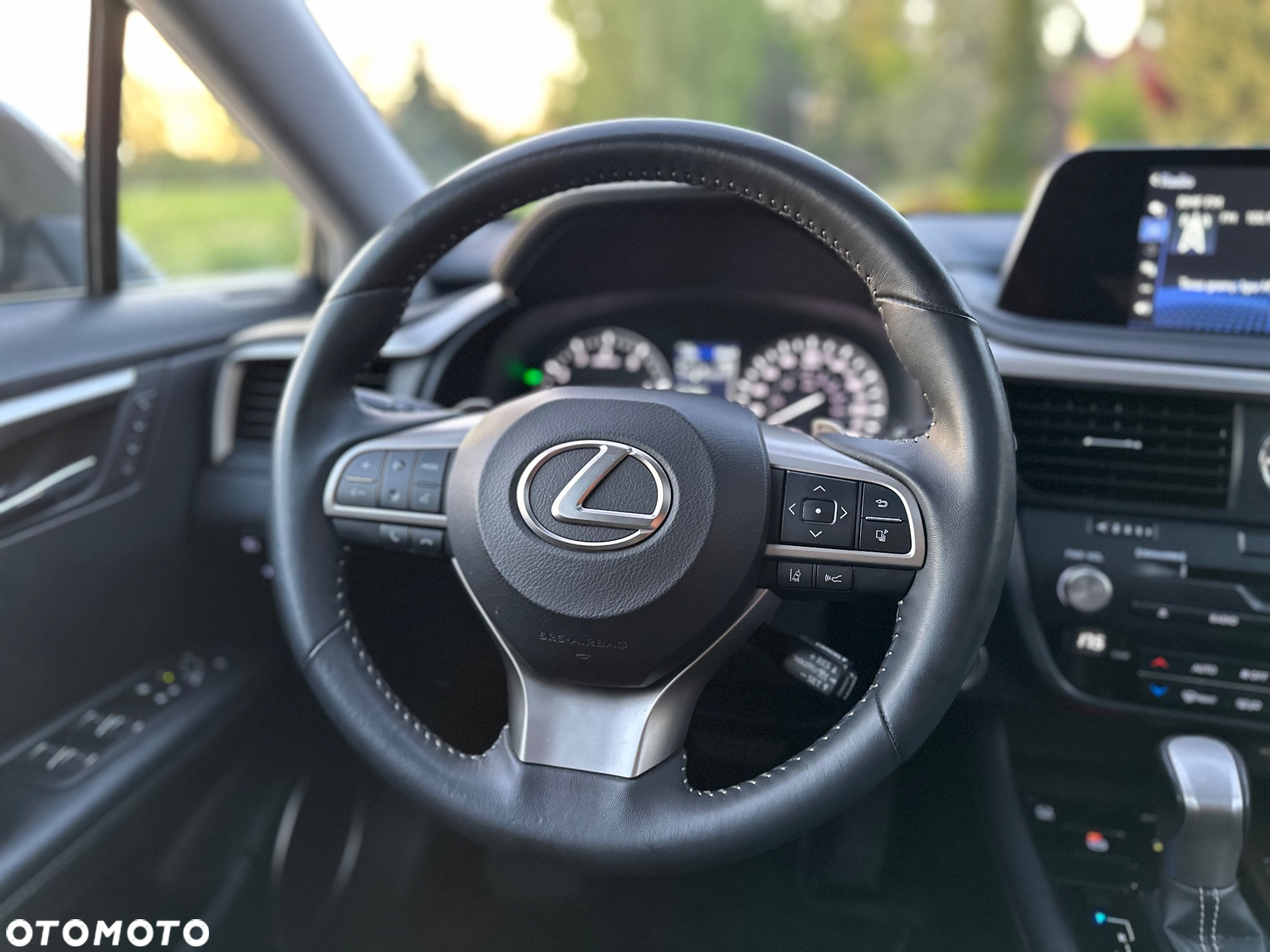 Lexus RX - 19