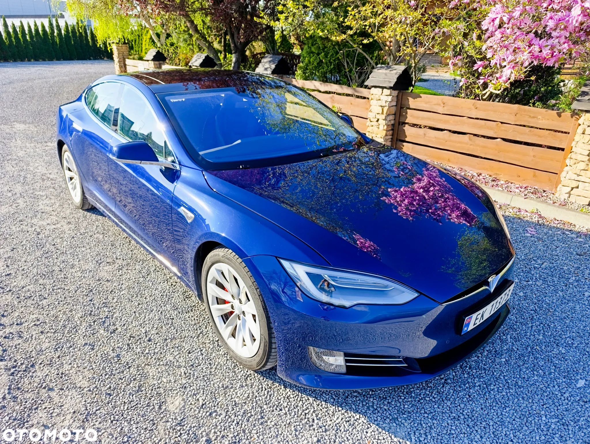 Tesla Model S Performance - 6
