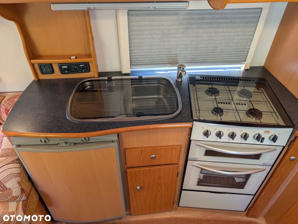 Avondale Golden Avocet - 19
