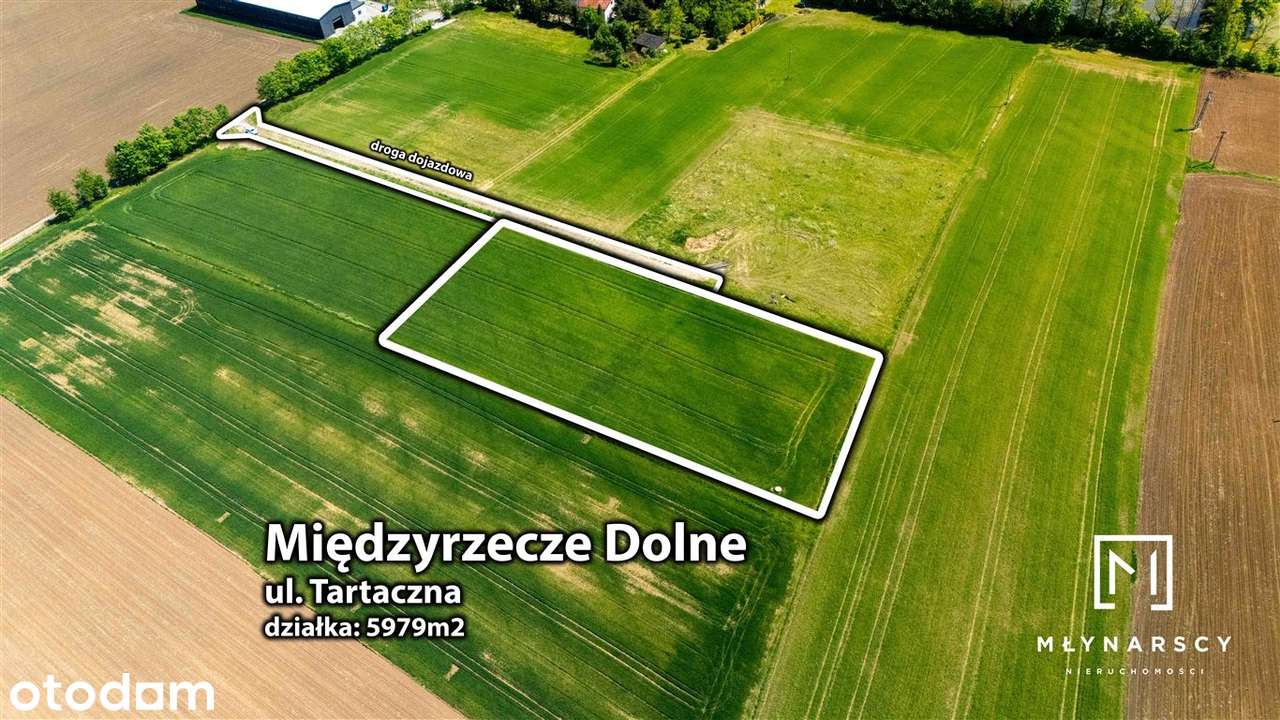 Działka | budowlana | prostokątna | ładna okolica - Pełny obrazek: 4/20
