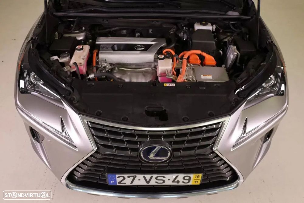 Lexus NX 300h Executive Plus - 10