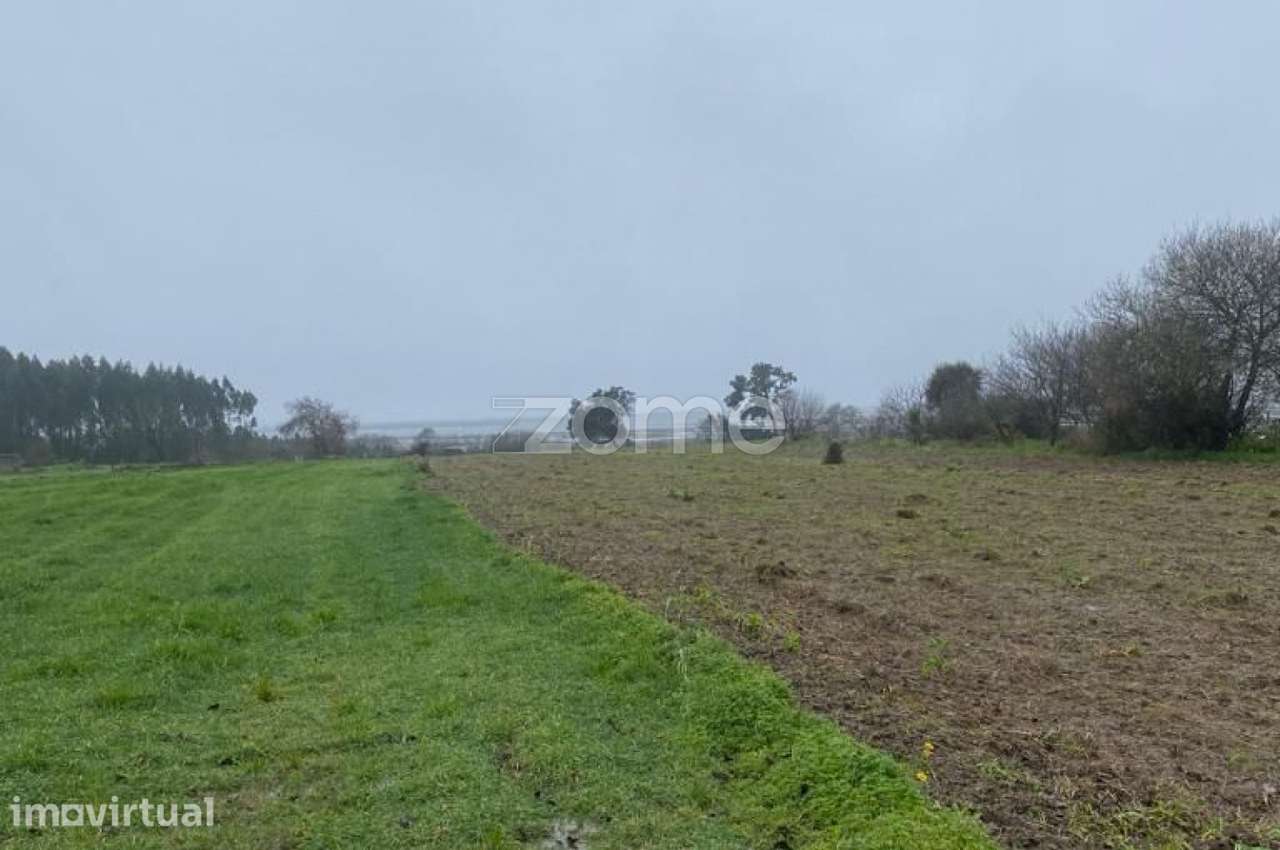 Terreno para construção em Cacia, Aveiro - Grande imagem: 2/11