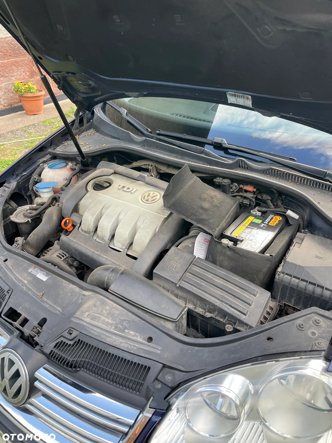 Volkswagen Golf - 9