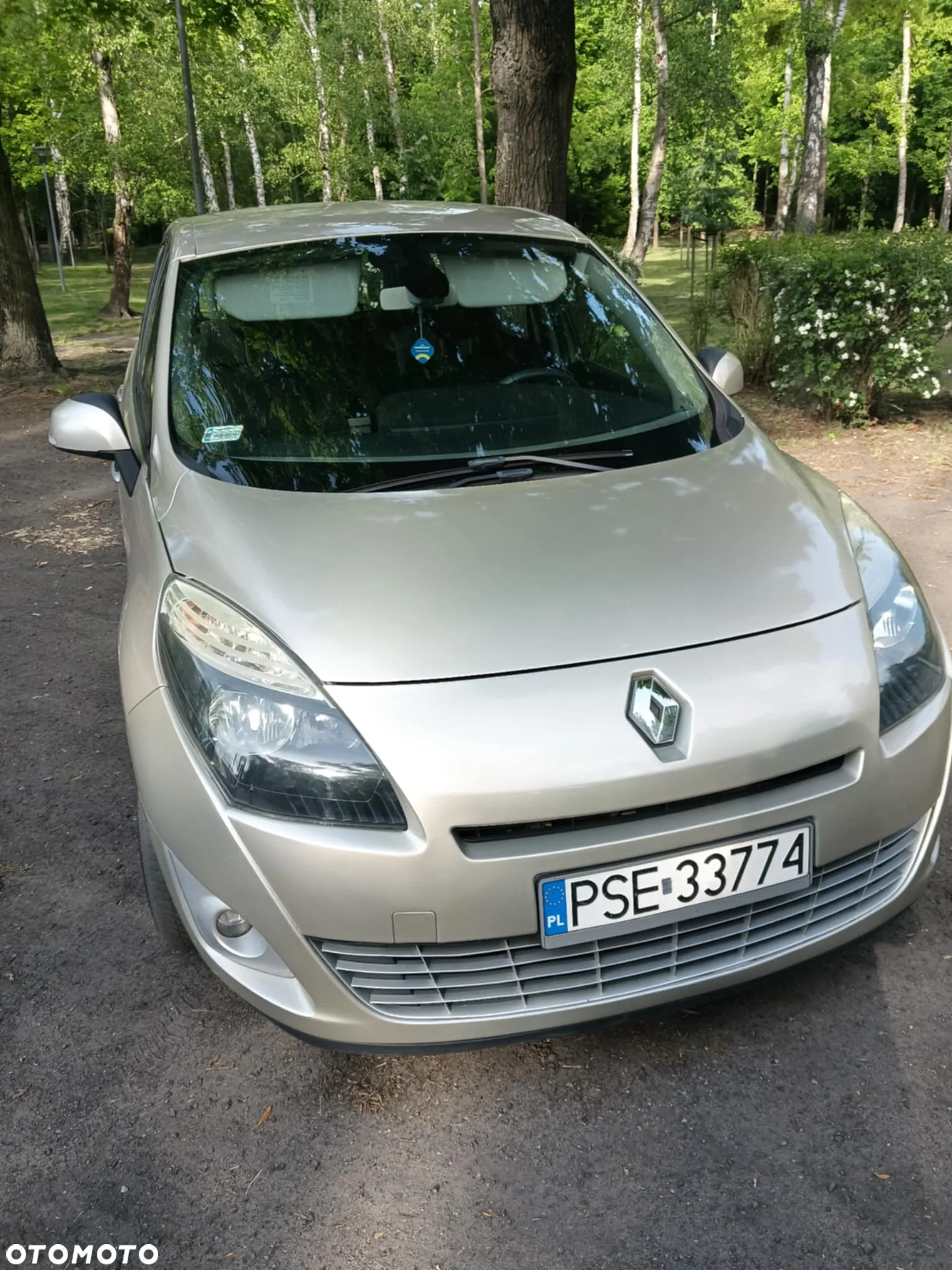Renault Scenic - 7