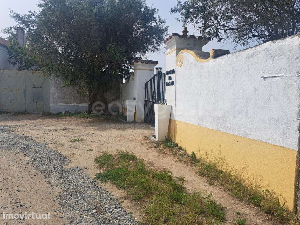Fabulosa Quinta a 3 minutos da Cidade de Beja com área Privativa de... - Grande imagem: 5/52