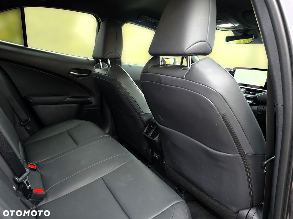 Lexus UX 300h F Sport - 16