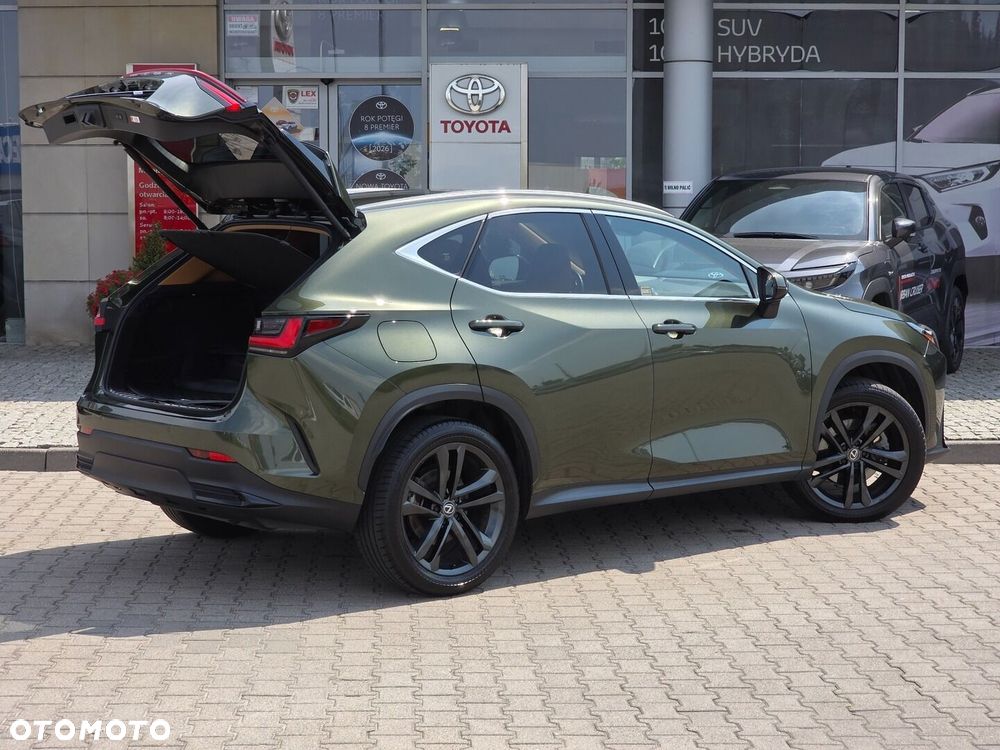Lexus NX - 6