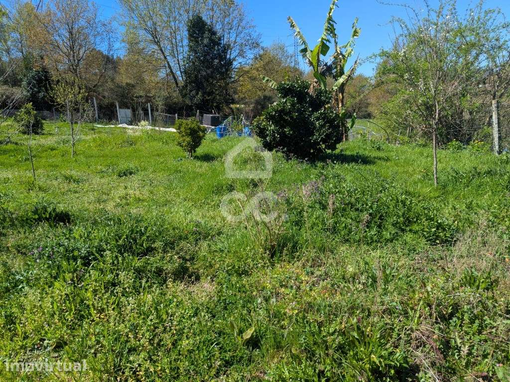 Terreno Rústico Agrícola com 13.410m² - Serzedelo, Guimarães - Grande imagem: 4/32