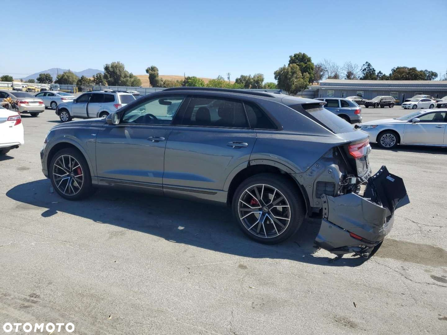 Audi Q8 - 2
