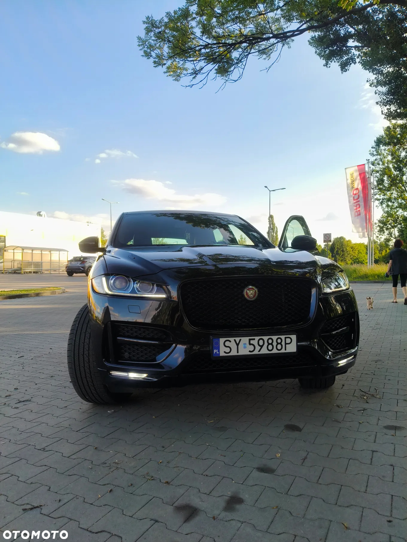 Jaguar F-Pace 2.0 i4D AWD Prestige - 18