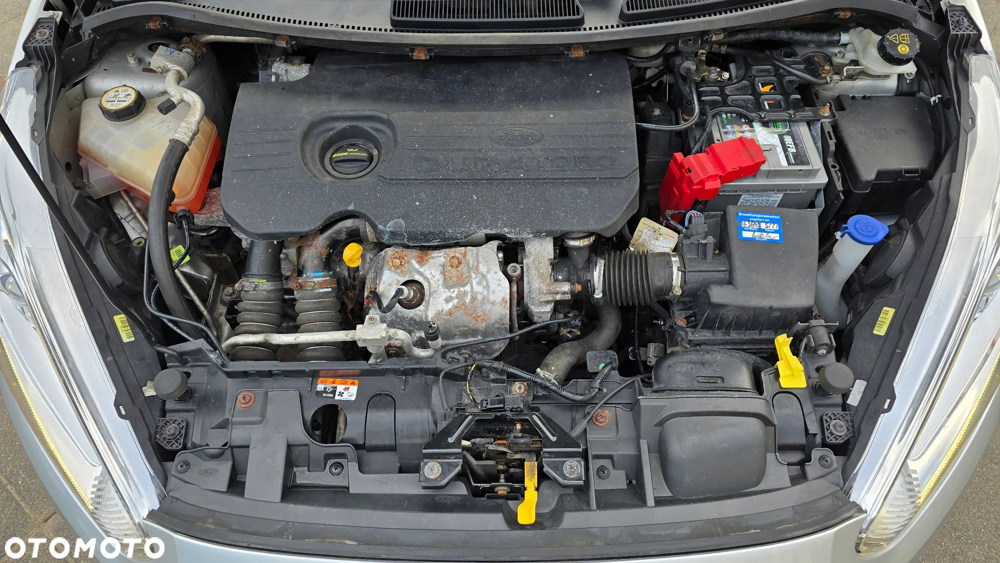 Ford Fiesta - 29