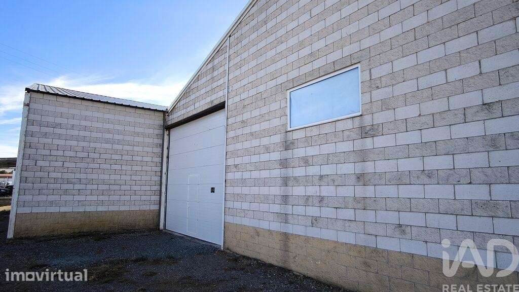 Hangar em Monforte de 1040,00 m2 - Grande imagem: 5/13