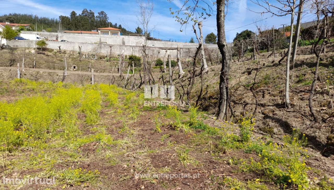 Venda Terreno, Fregim, Amarante - Grande imagem: 4/38