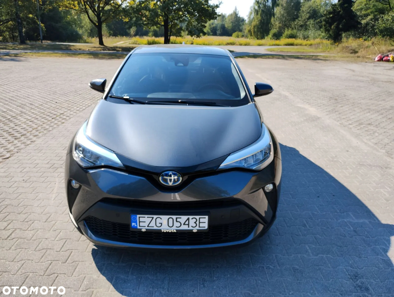 Toyota C-HR - 6
