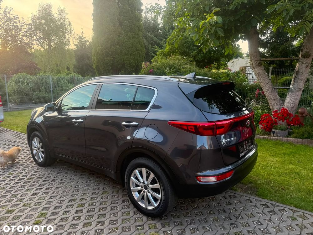 Kia Sportage 1.6 GDI 2WD VISION - 3