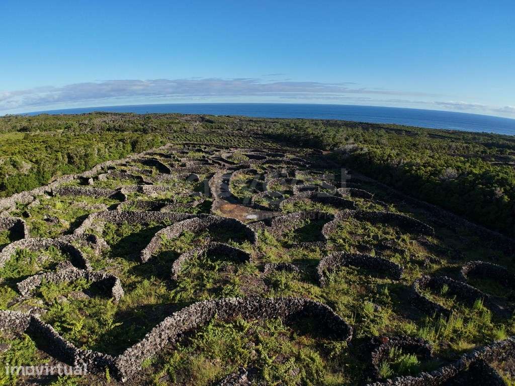 Vinha e Potencial de Construção Bandeiras, Ilha do Pico - Grande imagem: 3/11
