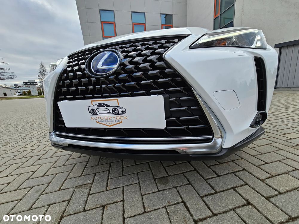 Lexus UX 300e 54.3 kWh Business Edition 2WD - 14